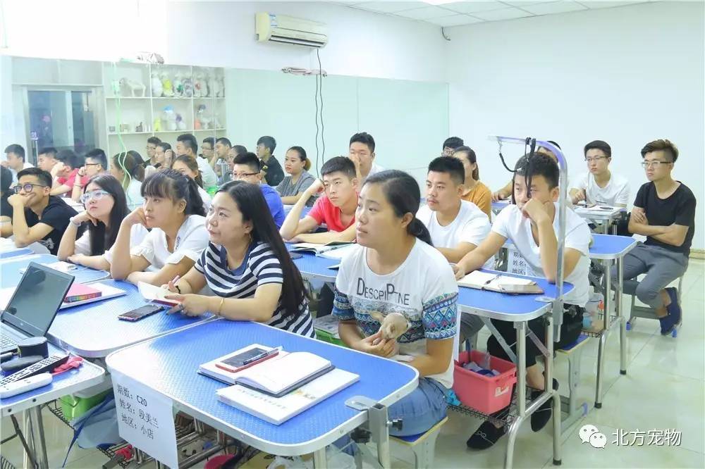 卡通动漫第十页 偶尔会有作者吐槽或彩蛋