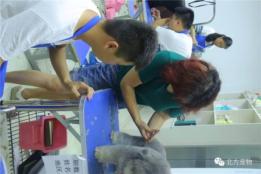 卡通动漫第十页 偶尔会有作者吐槽或彩蛋