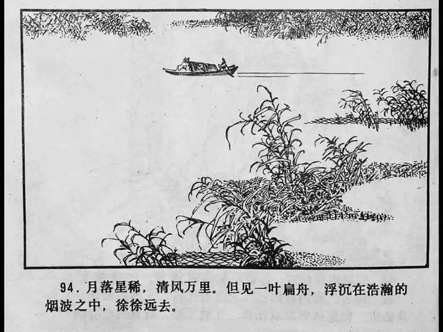 青草青草久热精品视频 在信息爆炸的视频时代