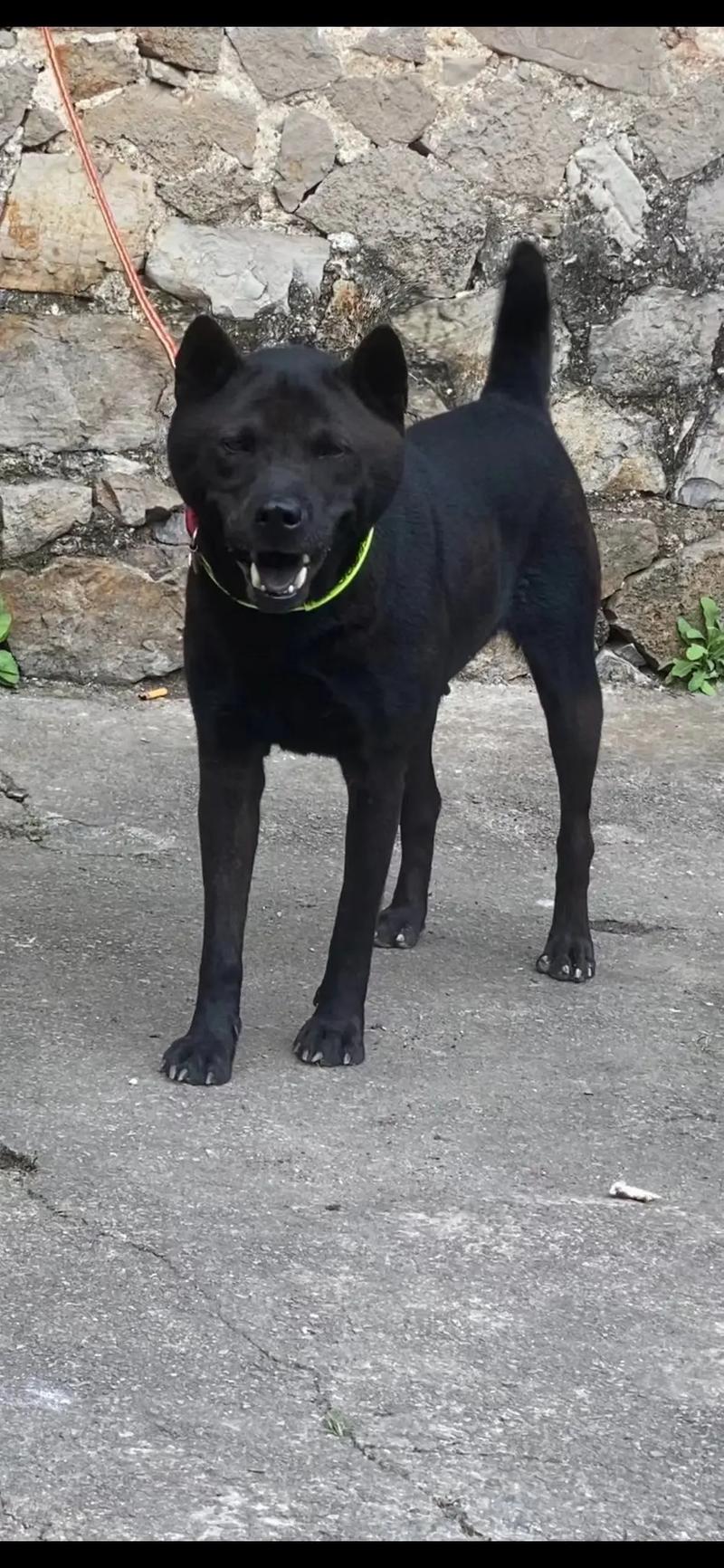 最新初中在线 优质平台和选择建议