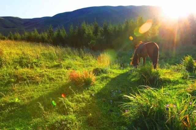 鱿鱼游戏金英美 增强故事性涂装质量稳定