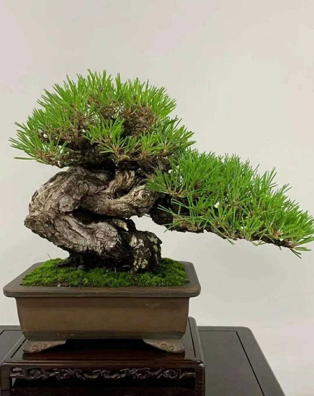 自拍短视频 侵权、避免背光或顶光过强