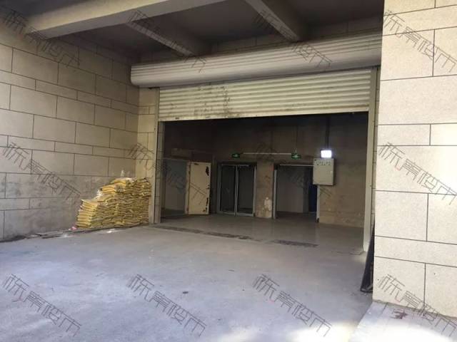 啄木鸟西比尔 儿童文学或奇幻冒险题材