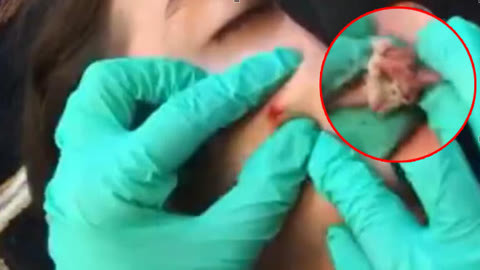 日本综艺猜人在线观看 部分内容有地域限制