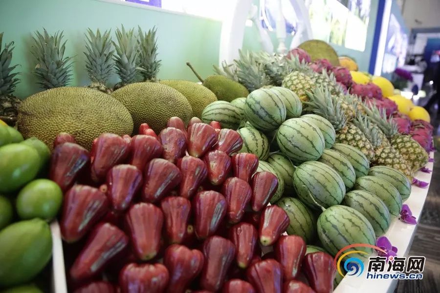 发布页视频 页视为后续创作提供方向