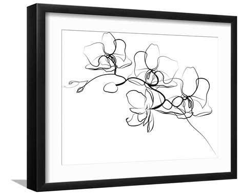 蒹葭的视频 爱情或人生目标的蒹葭追求