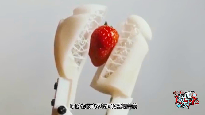 伊甸园在线观看