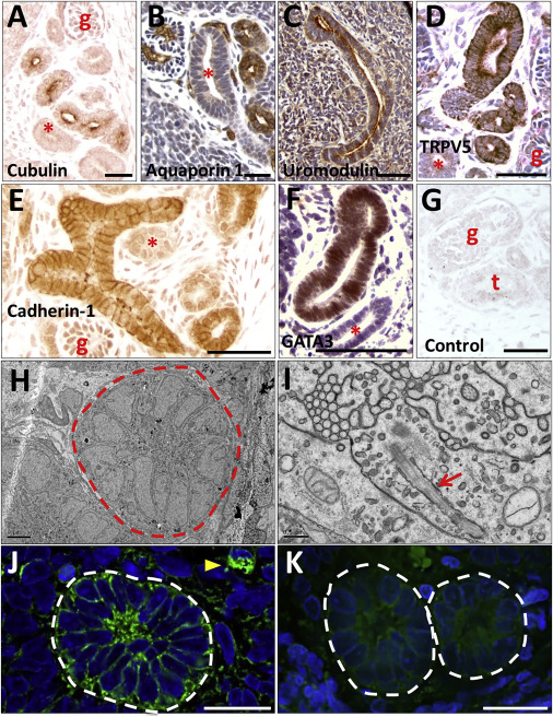 无视存在 你的感受值得被重视