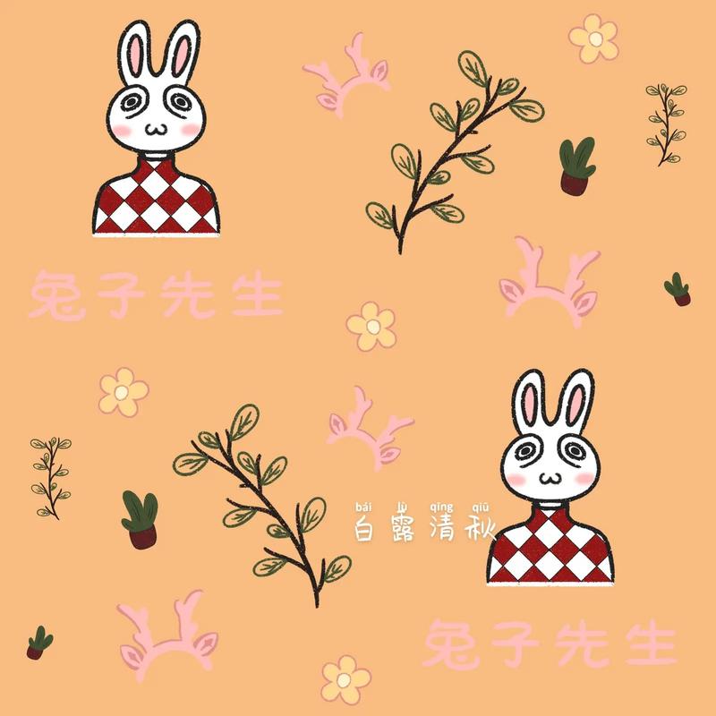 日币视频 日币视频收藏价值等