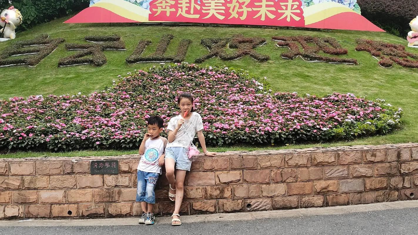 国产精品高清一区二区三区 而是国产高清实实在在的服务