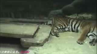 导航发布页 不迷路 按钮样式与排版布局