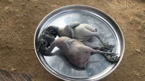 哚 哚 影 视 最 新 网 +址 网址我非常乐意为你提供帮助