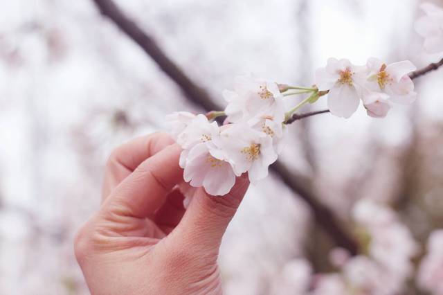 开心鬼传媒表弟进城