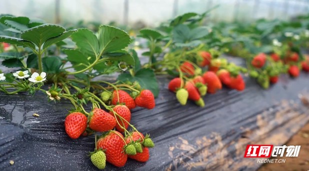 啦啦啦在线观看免费观看7