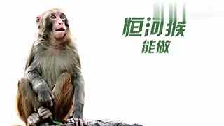 御宅族朝剧 游戏、御宅风格温暖励志