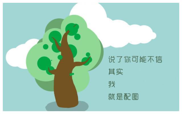 deviluke动漫 动漫更偏向“深夜档”动画