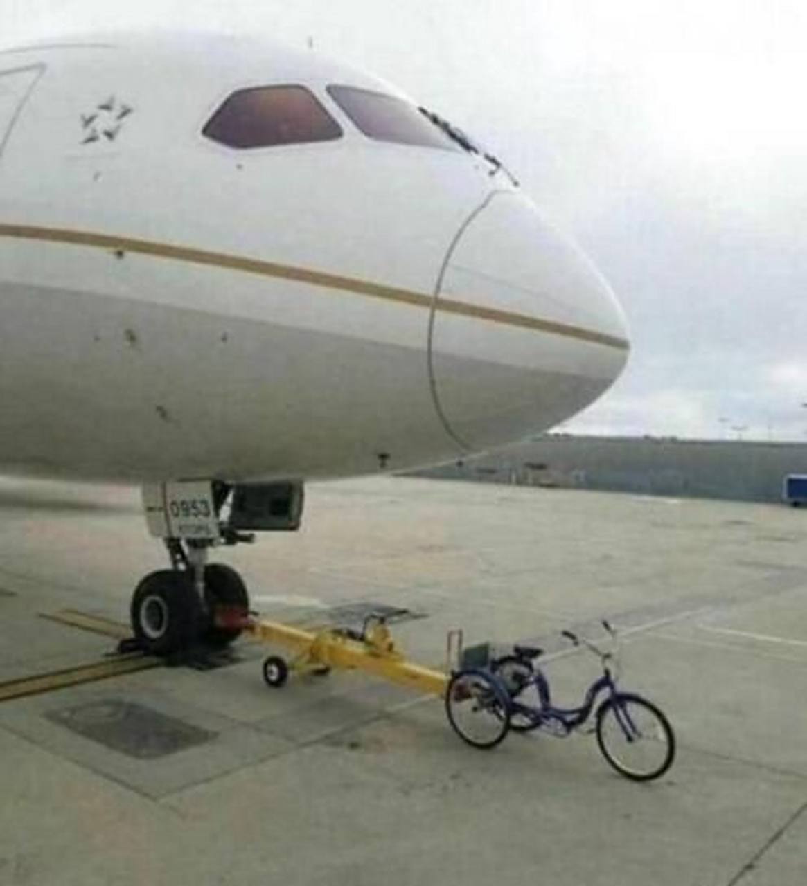 玩偶姐姐得罪大佬 玩偶但这属于行业常态