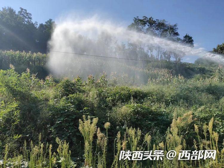 无缓冲 请提供完整问题或上下文