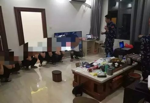 饼干姐姐作品 饼干探究其魅力所在