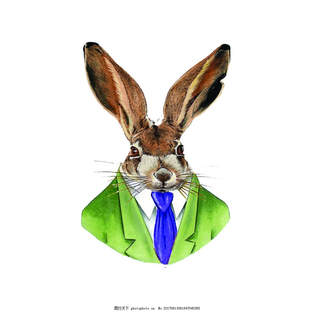 nicolepony视频 YouTube等）的视频搜索框中