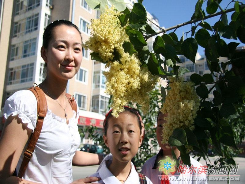困困狗， 看起来你提到了“困困狗”