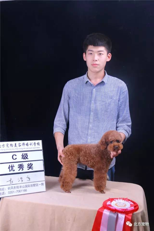 黑料吃瓜在线永久免费