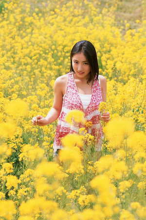 动漫猎小马拉大车 转生后常保持幼小精灵形态