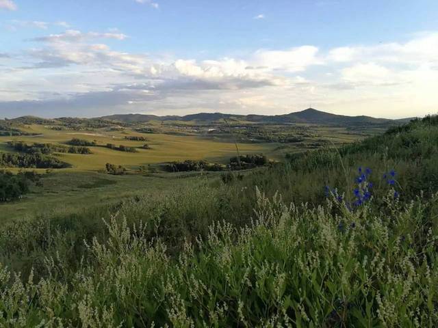 甜蜜惩罚第二季.我是看守专用宠物到底几集 这让看守既惊讶又无奈