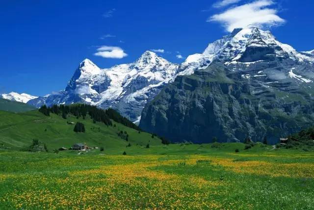 男同在线 根据您的男同线查询