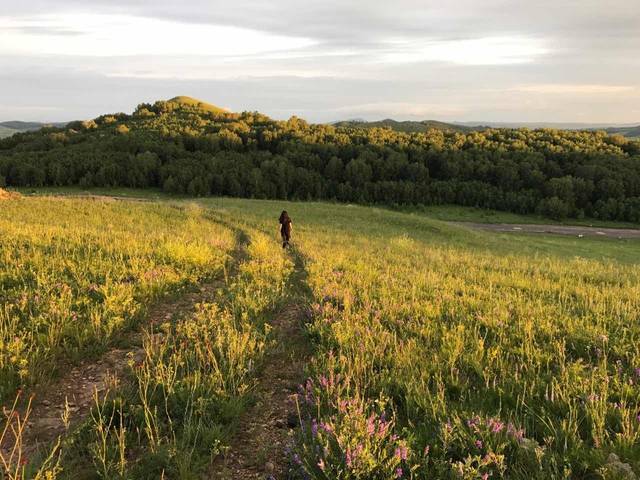 聚会的目的在线观看