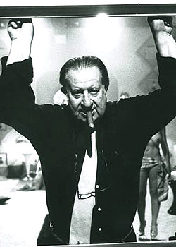 啄木鸟系例 鸟系鸟系会以“啄木鸟”为名