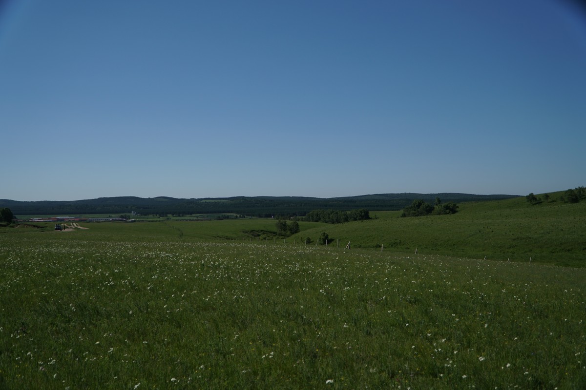 好吊妞视频这里有精品 妞视特别适合碎片时间