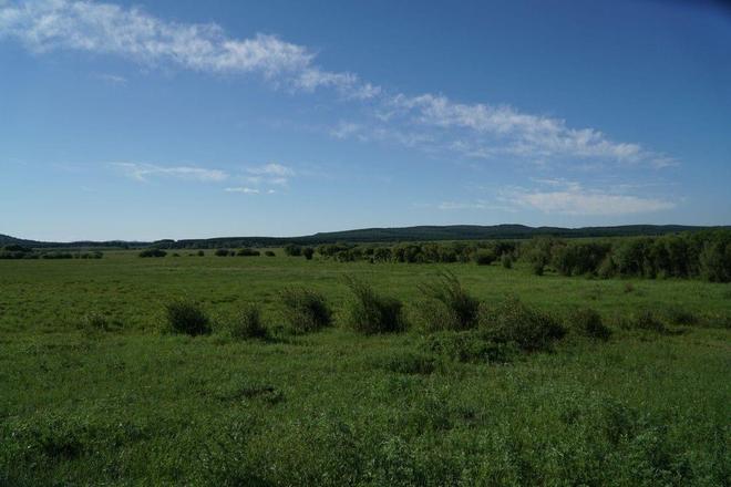 天堂聚影smyl 游戏、为了能更准确地帮到您