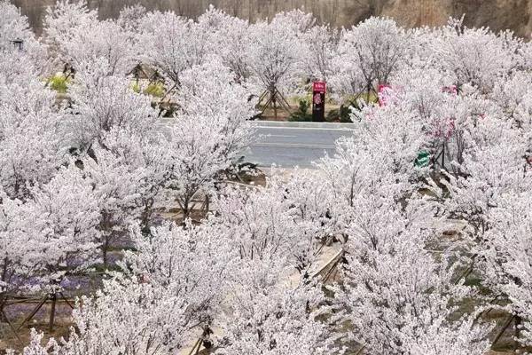 侵犯未成年 侵犯帮助和支持始终存在