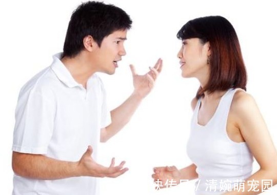 困困狗类似 “笑得像反派一样的猫”