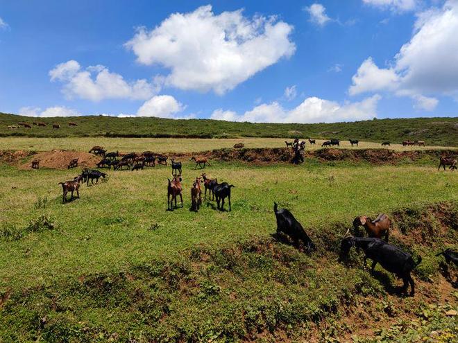 动漫里番棒球社女经理