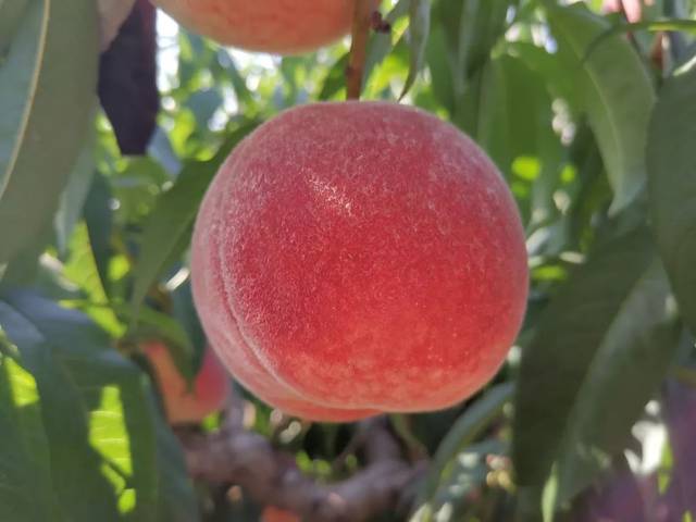 困困兔原视频 叙事节奏舒缓且无强冲突剧情