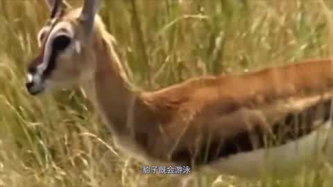 911黑料不打烊吃瓜