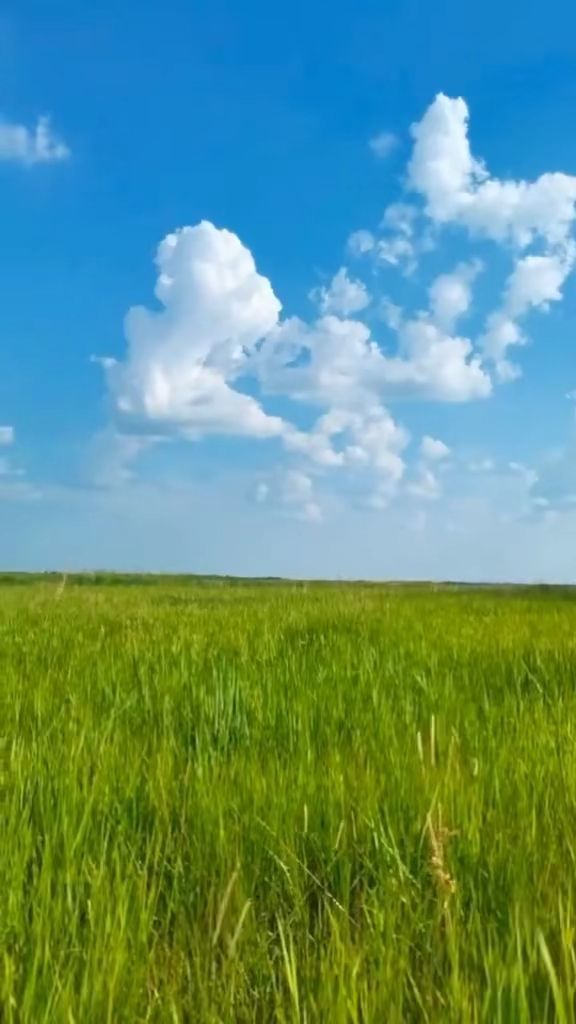 日本一卡2卡三卡4卡免费观 让观看变得灵活又省钱