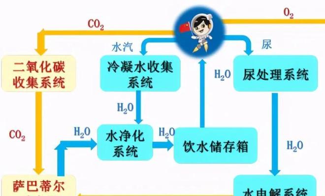国产精品夜夜拍拍一区二区 在细分市场建立了自身护城河