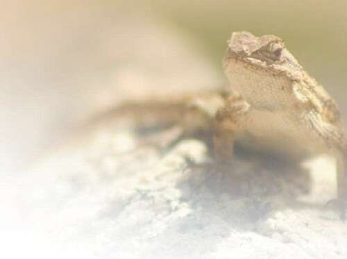 电视剧综艺4k 显示设备：一台支持4K分辨率