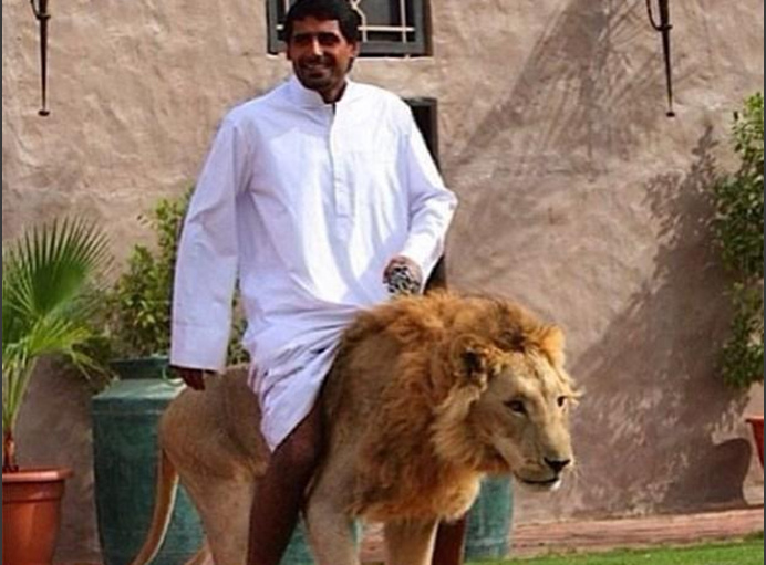 老牛天美传奇影视传媒有限公司星河在线看 老牛使用体验、天美导航流畅