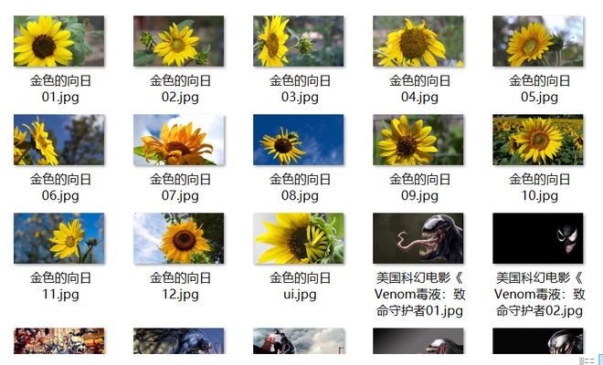 在线看的免费网站黄2018