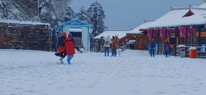 每日大赛在线看