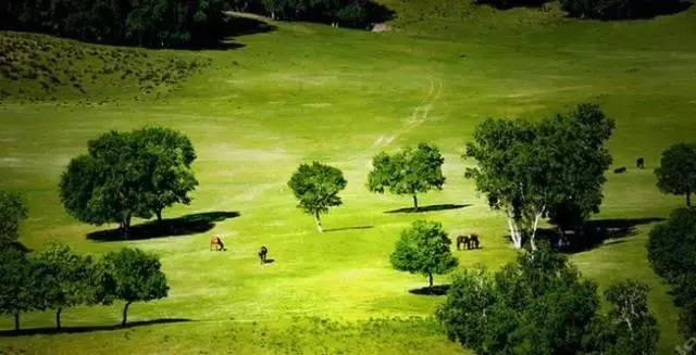 王者3d同人漫画 可以找到大量高质量作品