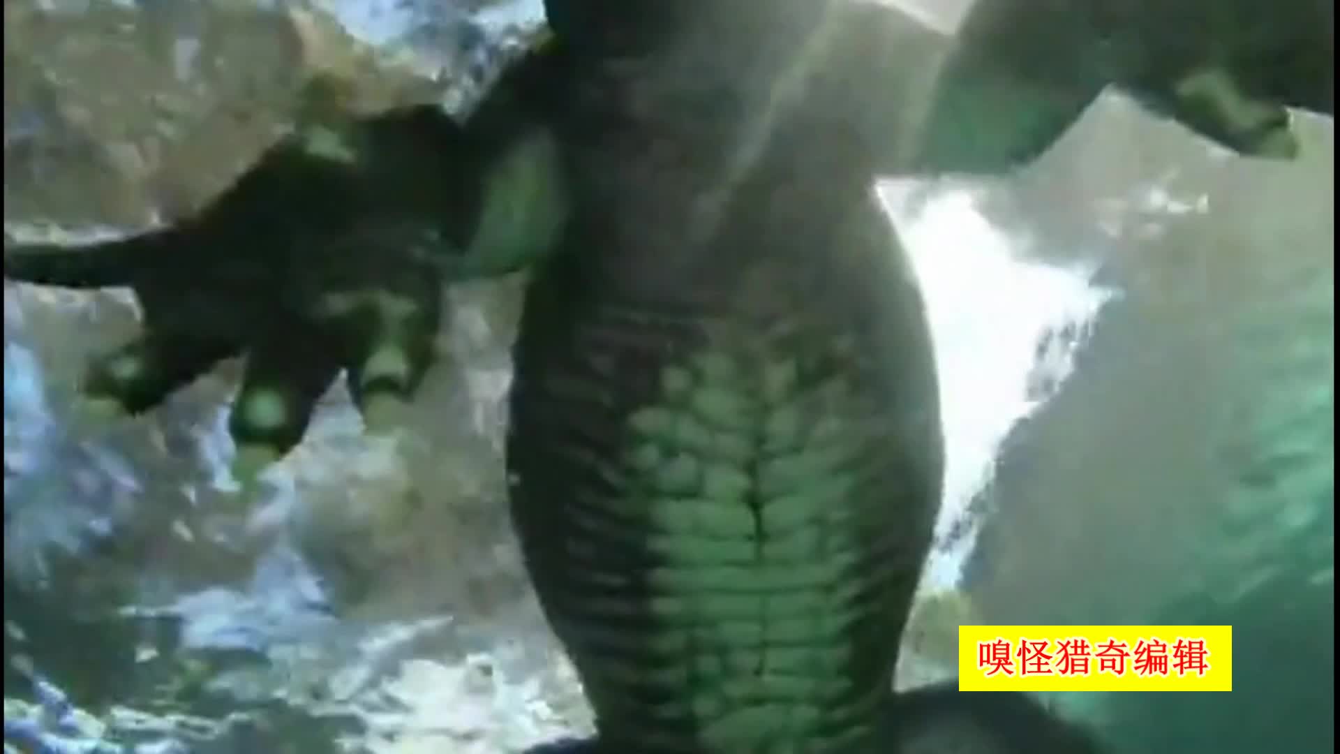 video link in bio影讯速递｜《長空之王》9月3日重返 大银幕長空之王讲述了一群试飞员的故事——他们在战机正式服役前,站在未知与危险的最前线。每一次起飞, 都是对飞机性能的极限挑战;每一次降落,都是对信念与勇气的考验。 影片中,多款国产先进战机震撼亮相,银翼破空、引擎轰鸣,配合紧张流畅的空中机动与沉浸式音效,让人仿佛置身云端战场。 向每一位默默守护蓝天的无名英雄致敬,9月3日大银幕再 建议您核对信息来源