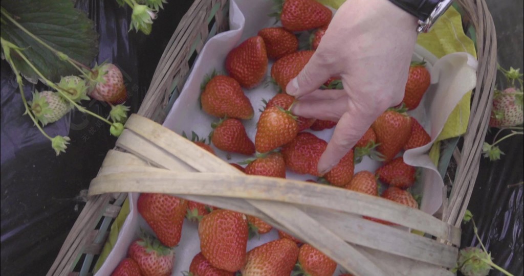 jidan里番 我非常乐意为你提供帮助