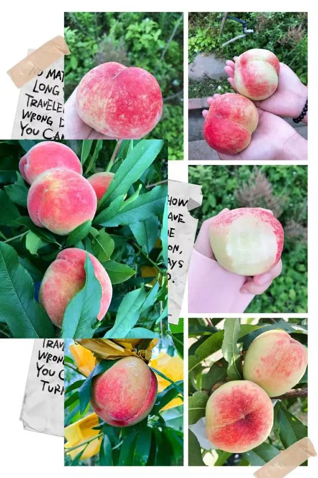 无限臀17c 如果您能提供更多线索