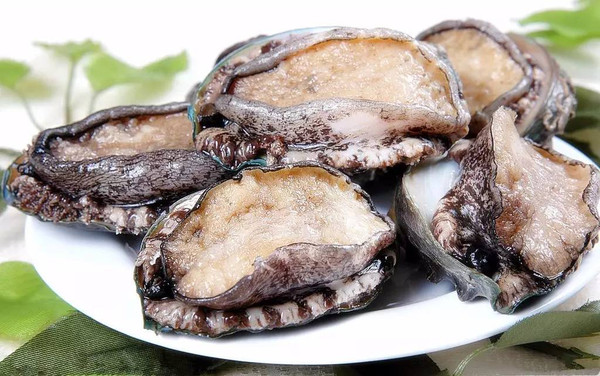 k 频 道 在 线 +观 看 某个特定平台或主播的频道