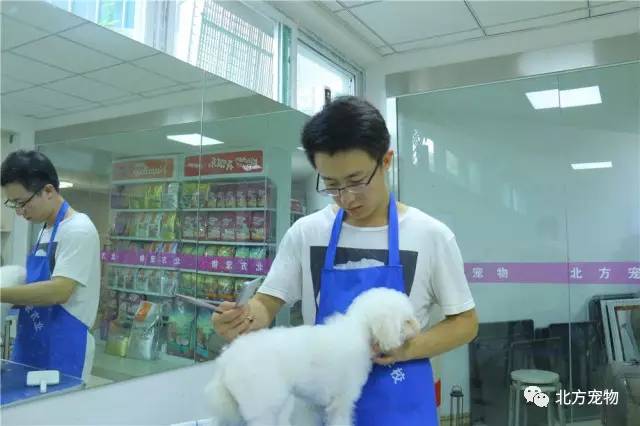 前台视频 使用授权账号和密码访问